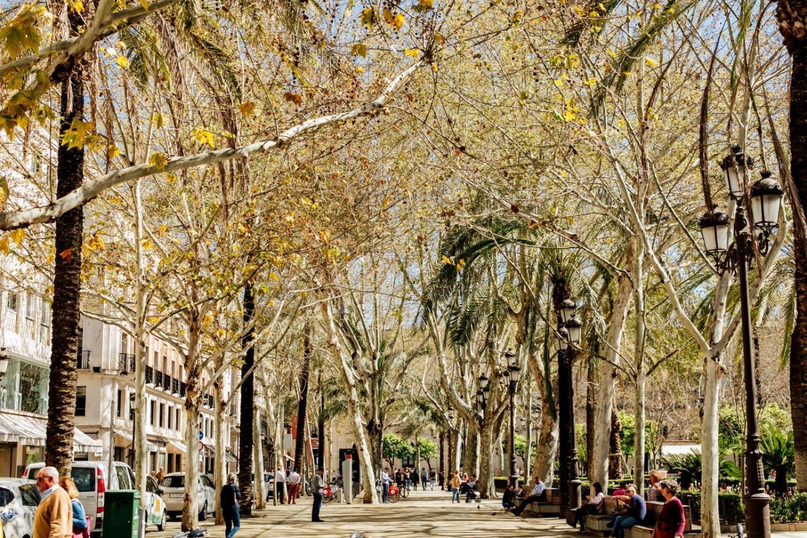 Plaza De La Magdalena I, Sevilla Centro Historico 외부 사진